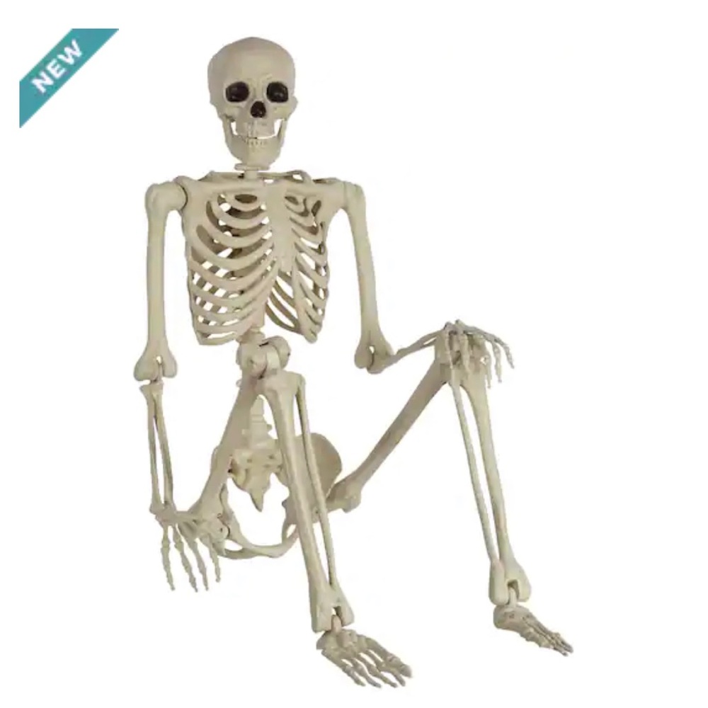 Skeleton Prop Halloween Décor